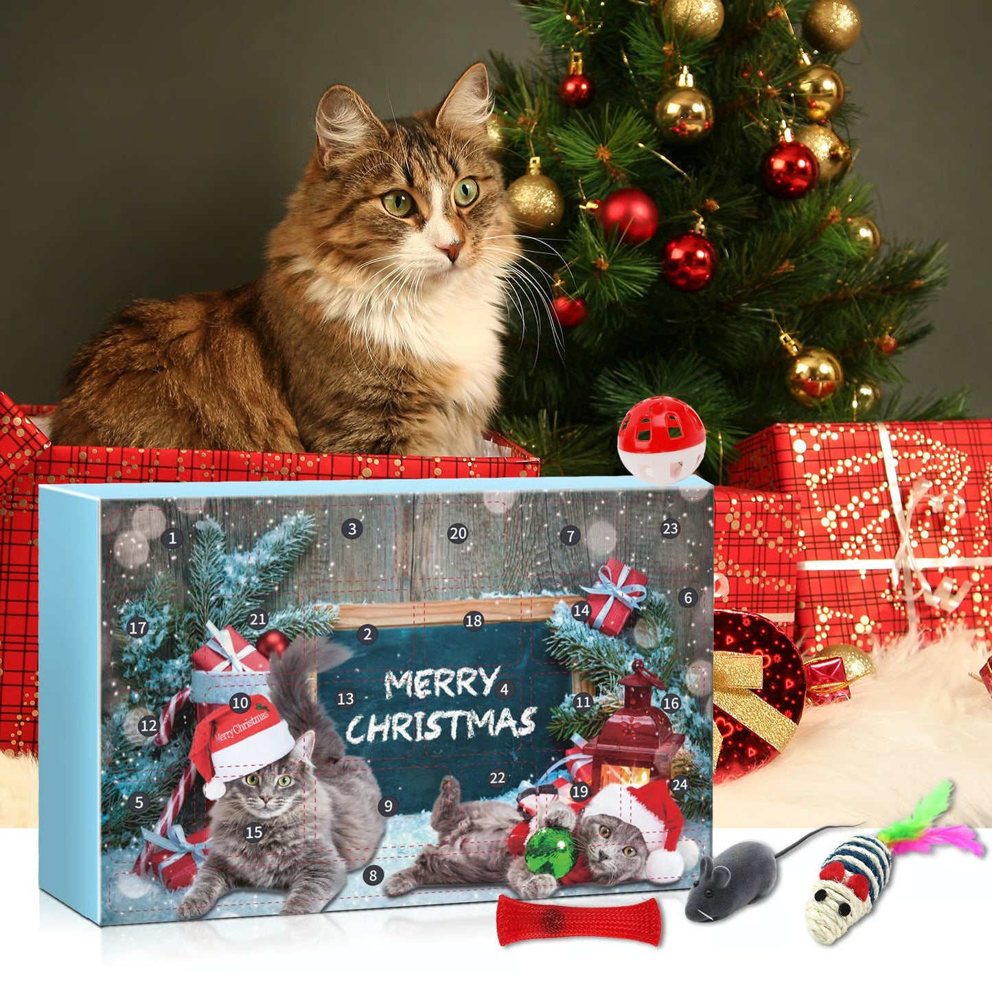 2025 New cat advent calendar