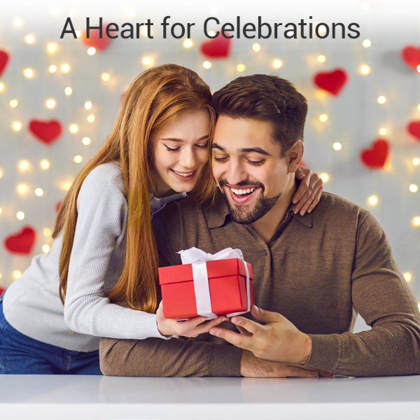 🔥 Titanium Steel Spinning Ring with Zirconia