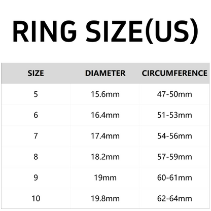 🔥 Titanium Steel Spinning Ring with Zirconia